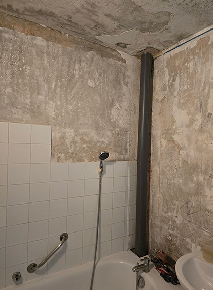 Moisissures sur murs de salle de bain
